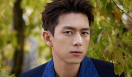 娱乐圈爆料男明星,揭秘男明星背后的秘密与真相