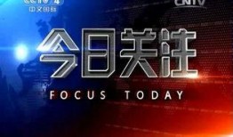 怎么向今日关注爆料,如何高效爆料，助力真相大白