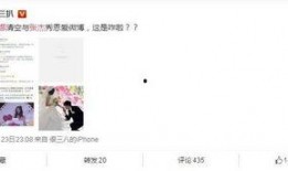 卓伟爆料谢娜视频,真相揭秘