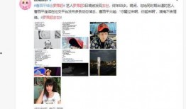 爆料阜宁二姐视频大全集,揭秘网络爆红背后的故事
