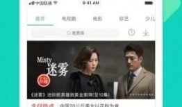 韩国男孩爆料视频网站下载,视频网站下载背后的秘密